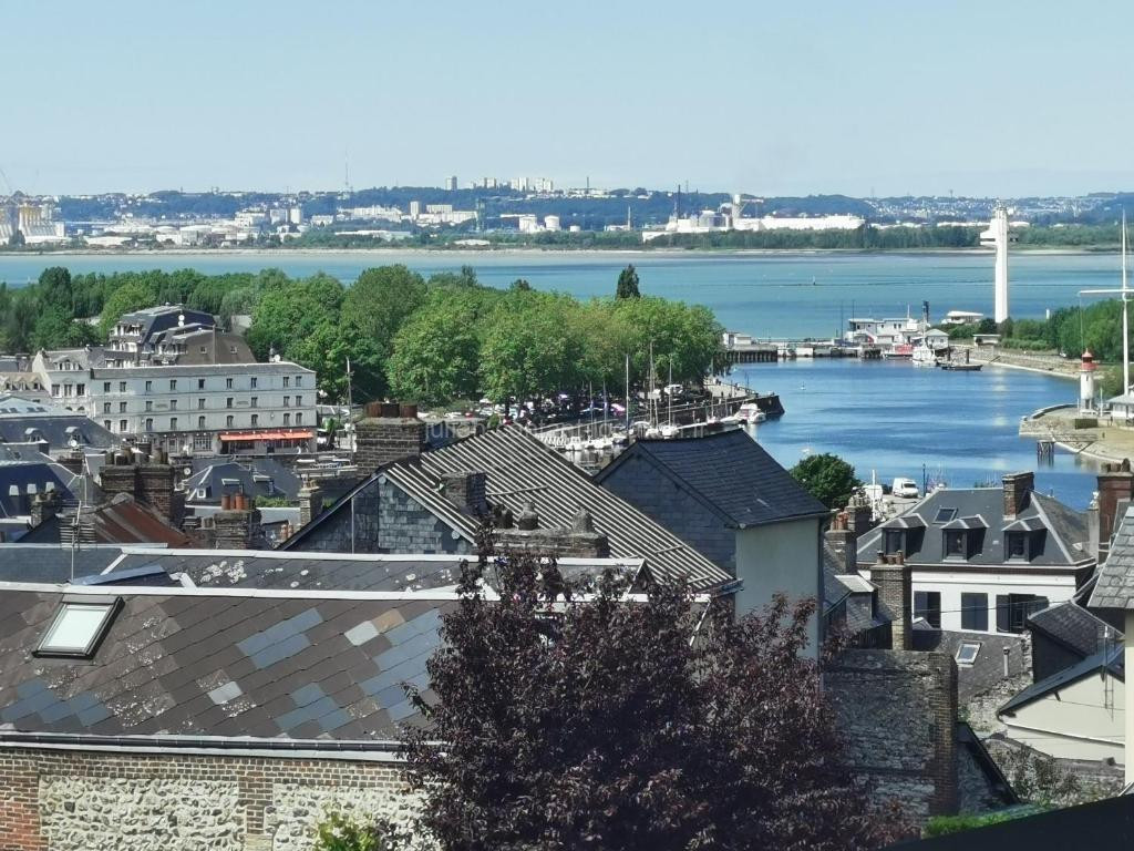 Photo de Le nid perché