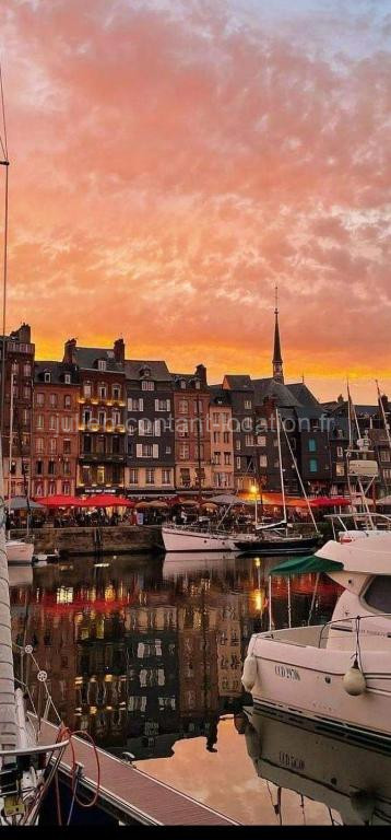 Photo de Le Petit Honfleur
