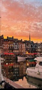 Le Petit Honfleur à Honfleur