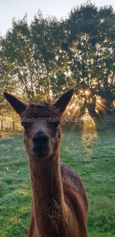 photo de Aux murmures de la nature B&B